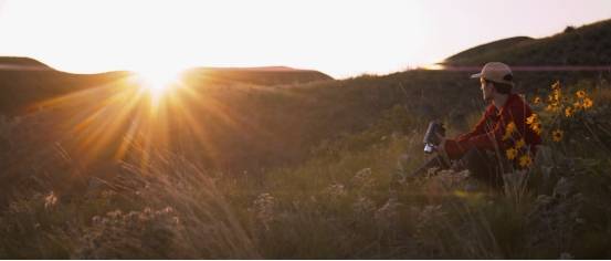 عدسة سيروي 35مم أنامورفيك