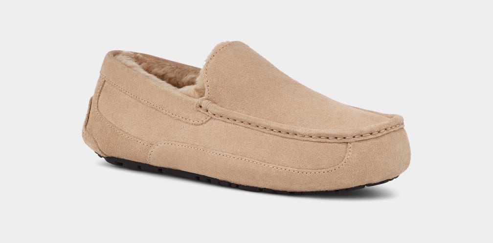 UGG Mens Ascot Slipper - Sand