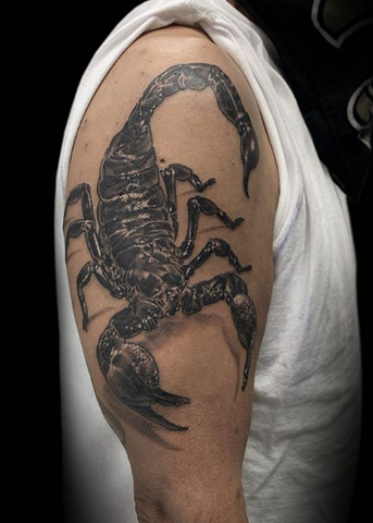 Tattoo uploaded by Jordyn Grine Tattoo  Woah watch out theres a 3d  scorpion tattoo on your shoulder 3Dtattoos balckandgrey scorpio  scorpion scorpiotattoo 3D realismtattoo realistic  Tattoodo