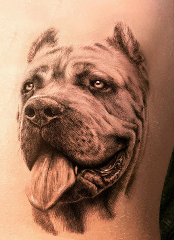 bull dog tattoo
