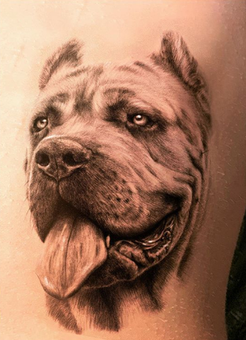 14 Best Dog Tattoo Design Ideas For Men And Women In Inktells 14 Best Dog Tattoo Design Ideas For Men And Women In Inktells