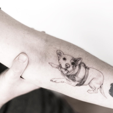 dog tattoo on the forearm