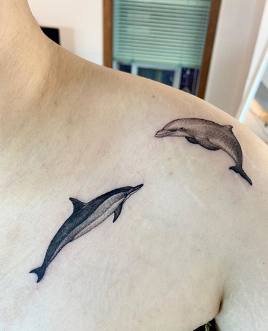 Dolphin Tattoo  Realistic Temporary Tattoos  Tattoo Icon  TattooIcon