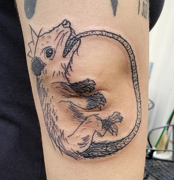 Possum Ouroboros Tattoo
