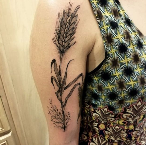 wheat tattoo