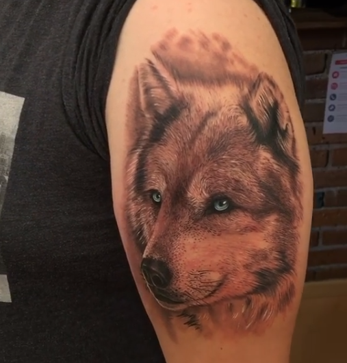 wolf tattoo on arm