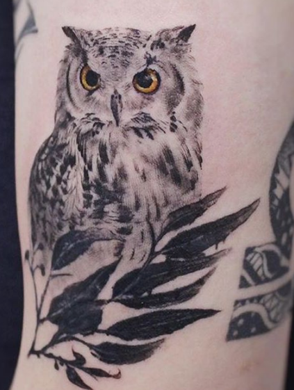 owl with plant tattoo