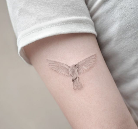 Pin by Robert Thompson on Tattoo  Card tattoo designs Dove tattoo design Tattoo  stencil outline