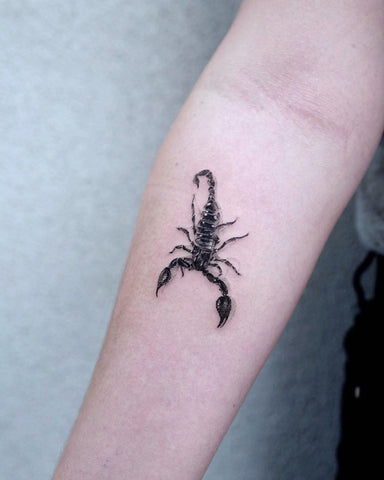 scorpion spider forearm tattoo
