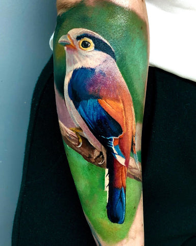 parrot bird animal tattoo