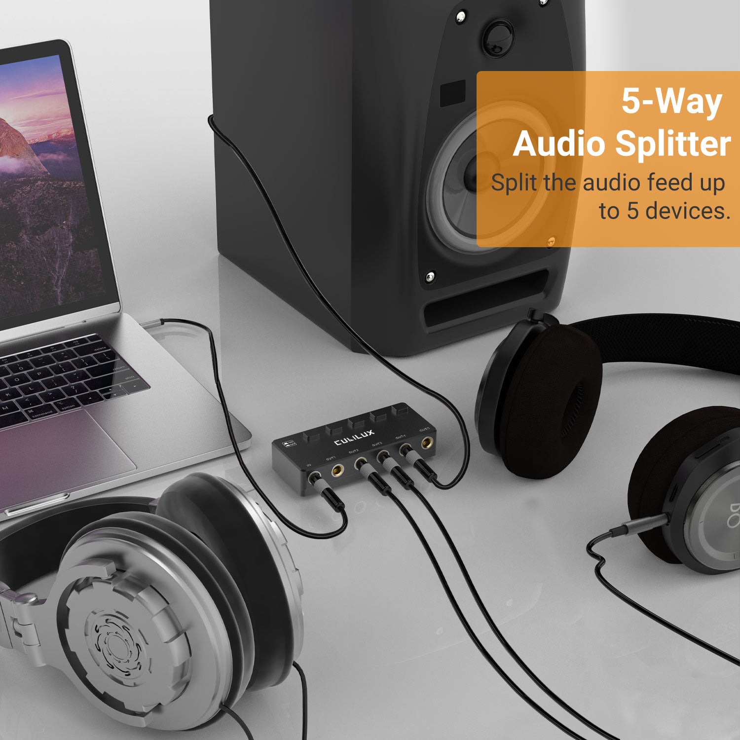 5-Way Audio Splitter