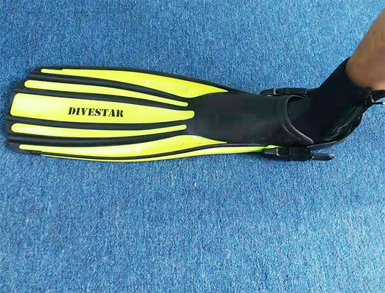 Flippers