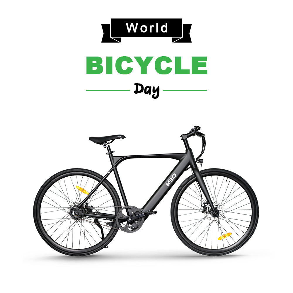 world bicycle day