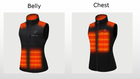 Belly vs chest
