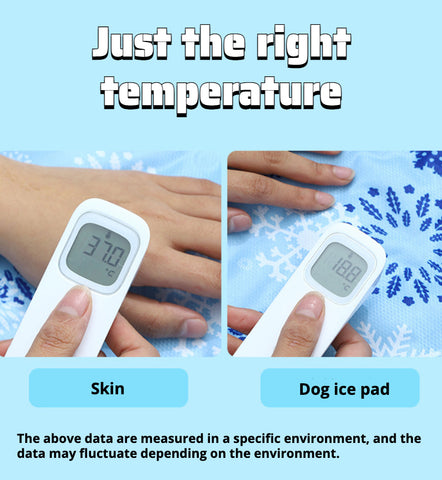 Dog ice pads