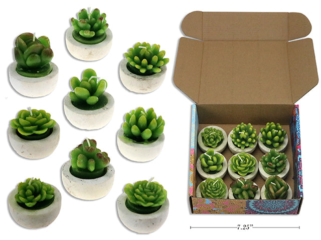 Carton Of 27 Succulent In Planter Candle