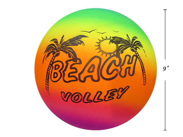 Carton Of 24 Marble Rainbow Beach Volleyball