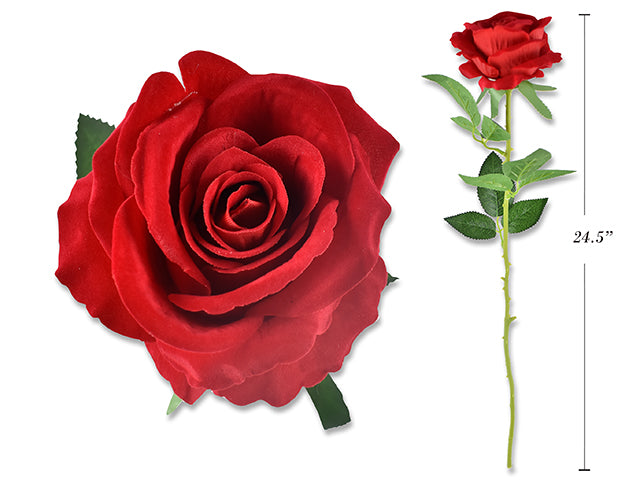 Carton Of 24 Valentines Single Stem Rose