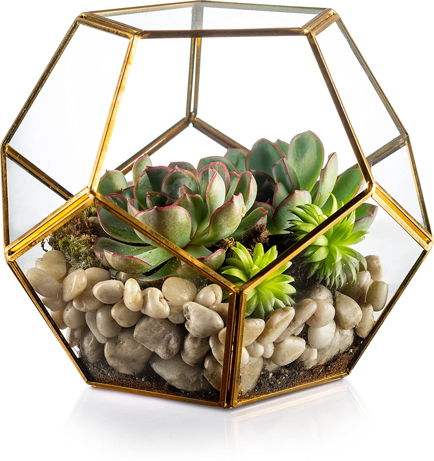 Geometric Terrarium - Gold