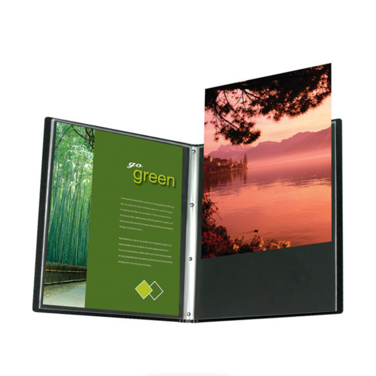 Itoya Art Profolio Advantage Presentation/Display Book (11 x 17