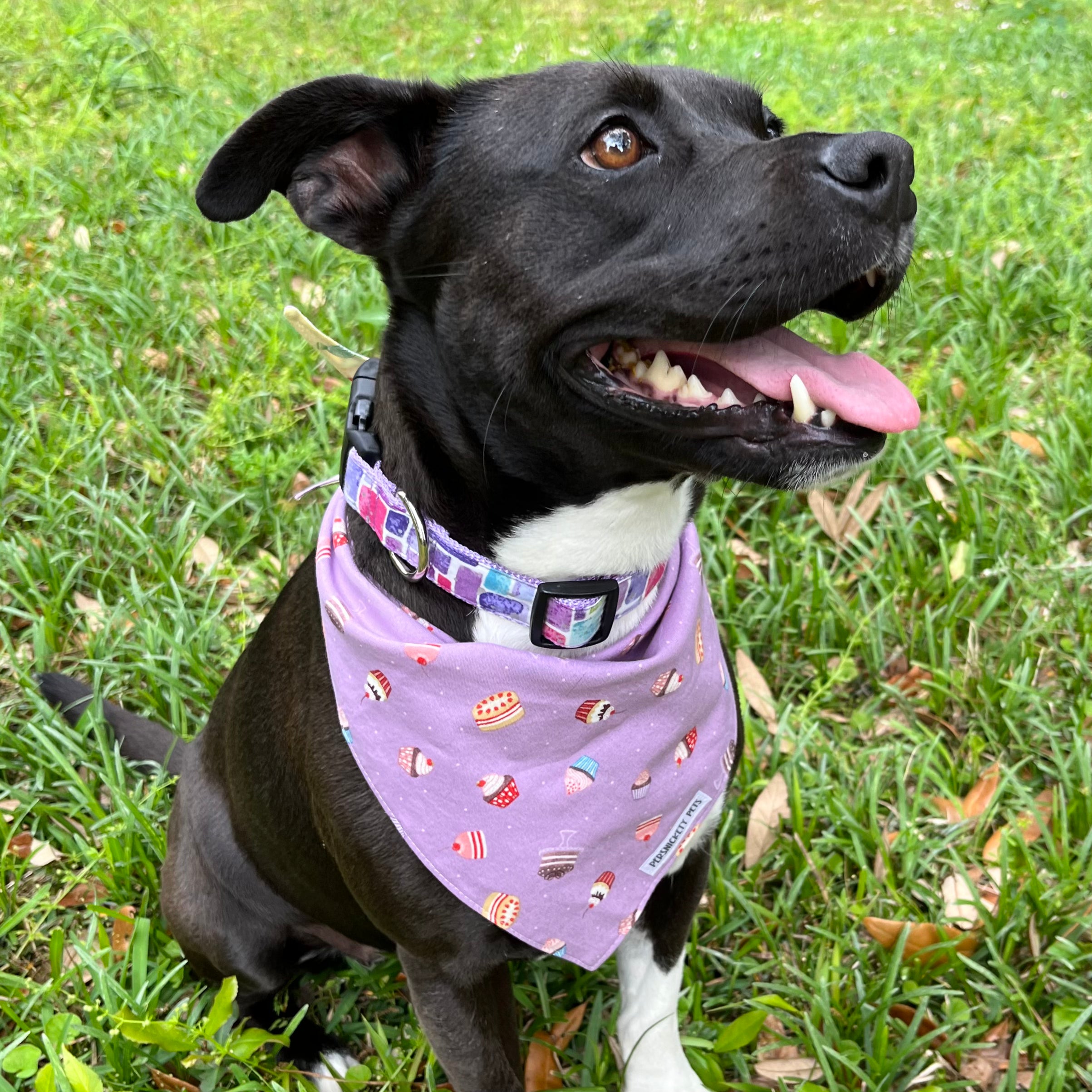 Cupcakes & Candies Reversible Bandana