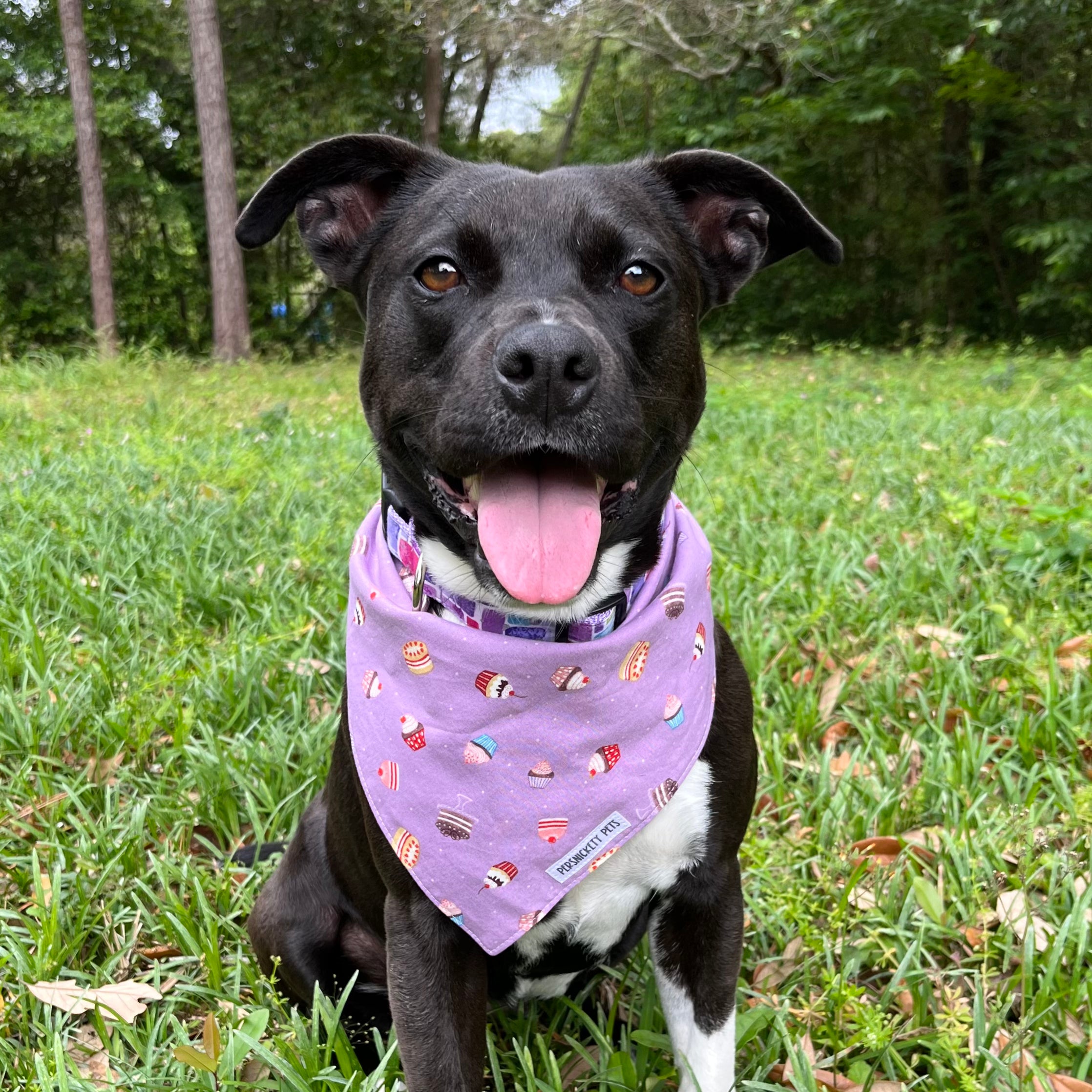 Cupcakes & Candies Reversible Bandana