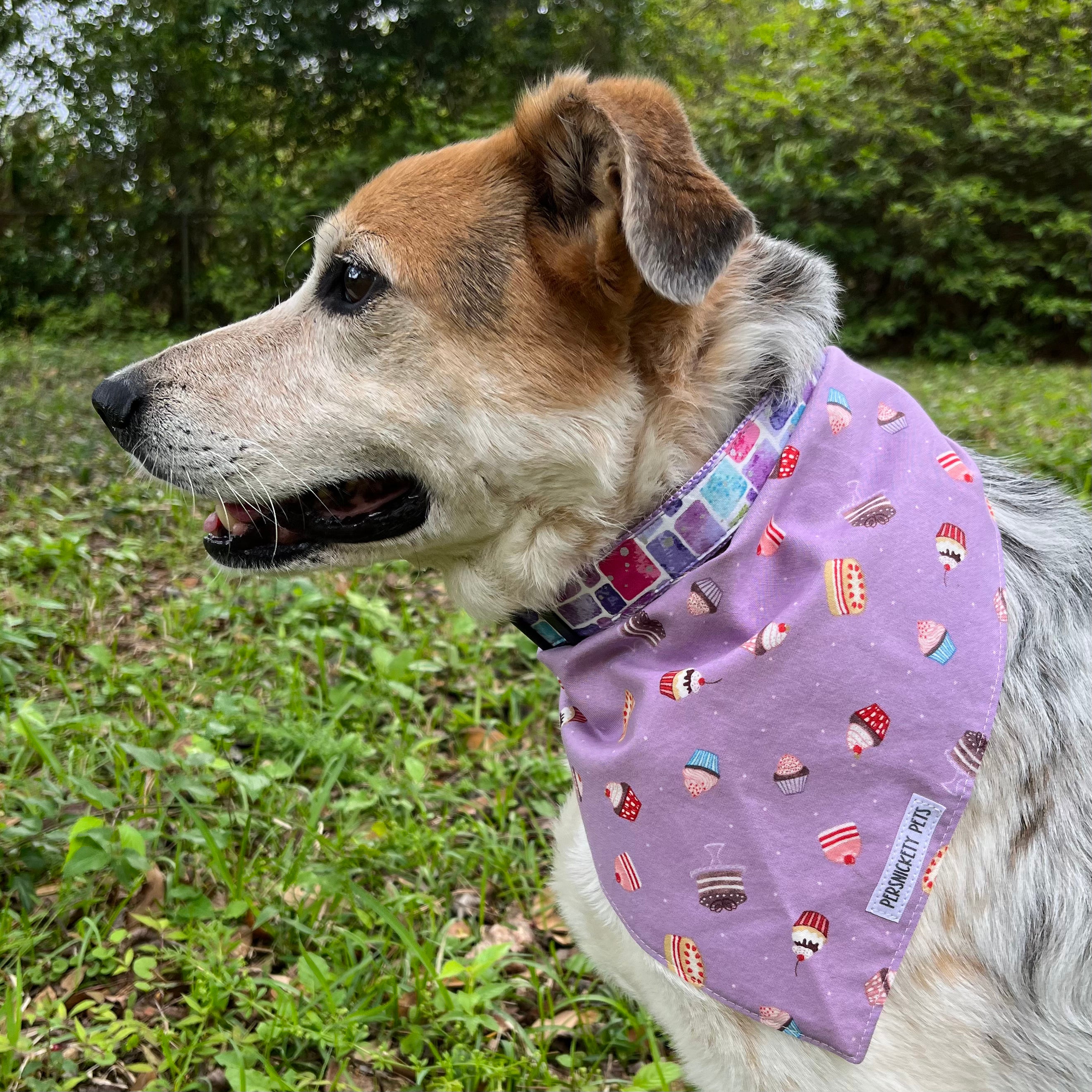 Cupcakes & Candies Reversible Bandana