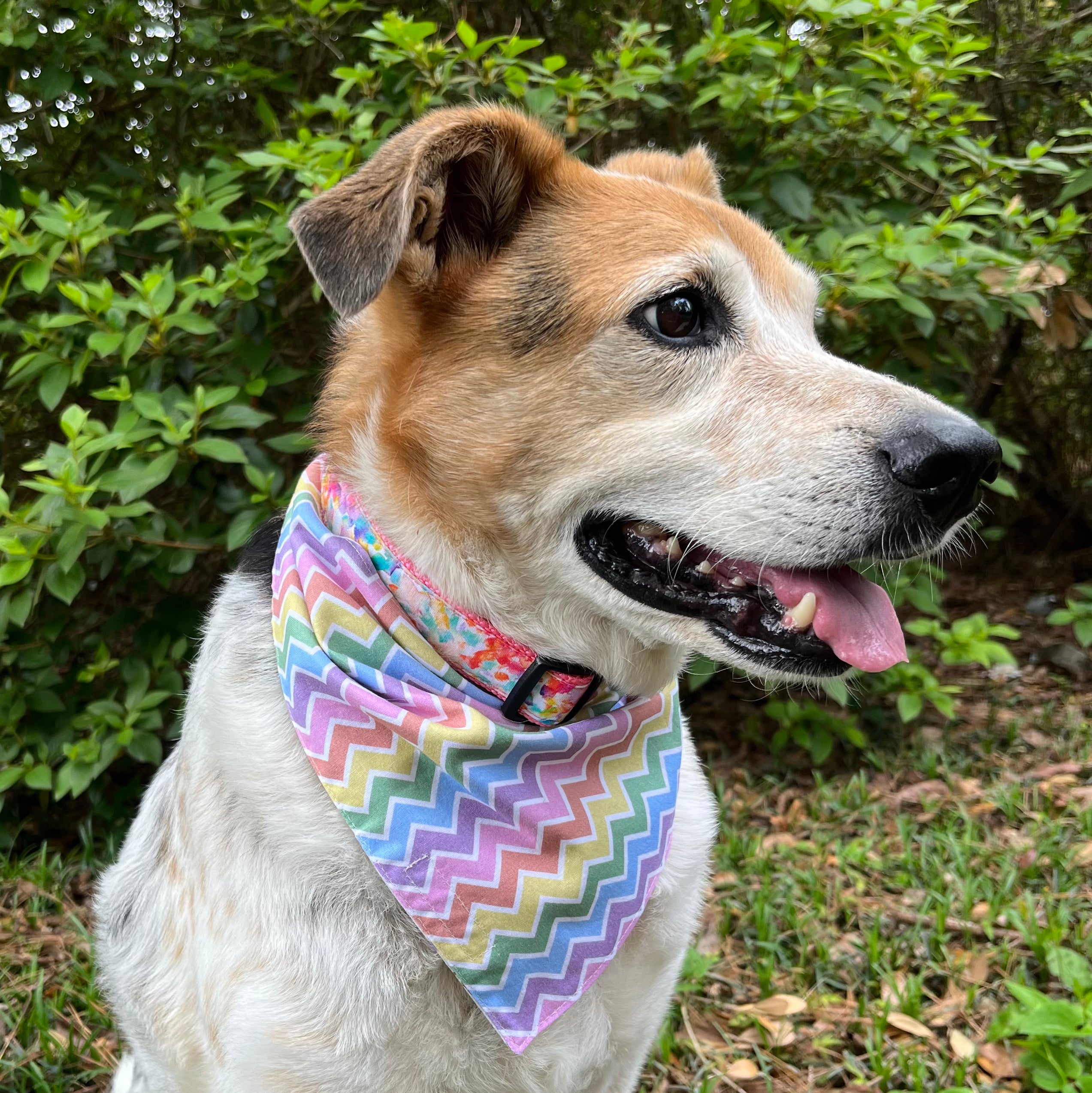 Rainbow Gummy Bears Reversible Bandana