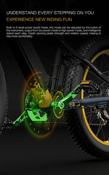 LANKELEISI RV700 Electric Bike