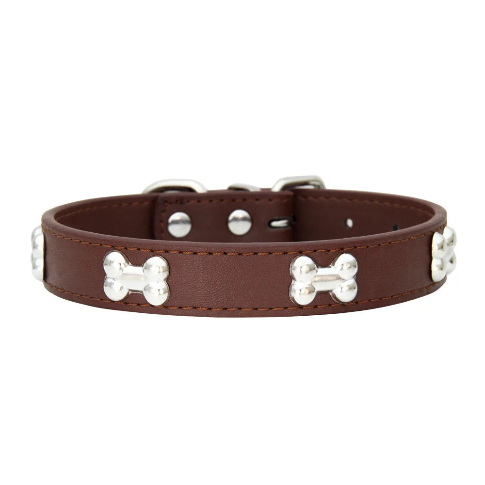 Villa Blvd BONE Leather Pet Collar