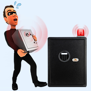 Security Home Safe