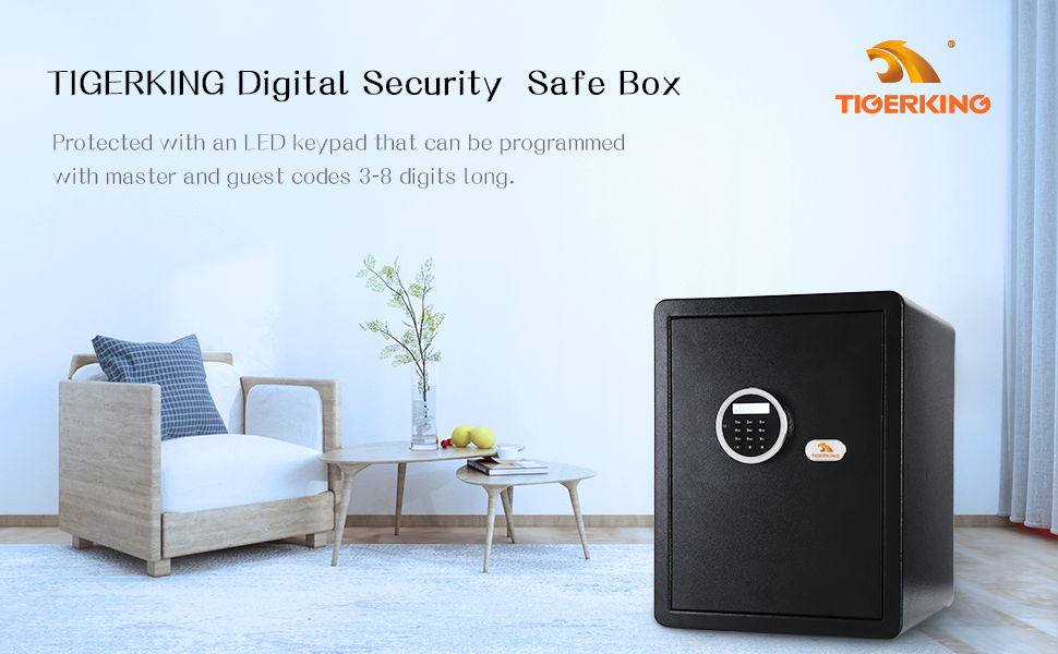 Security Home Safe