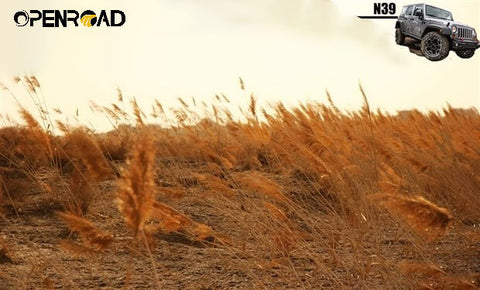 openroad 4wd Crossing The Taklamakan Desert——N39