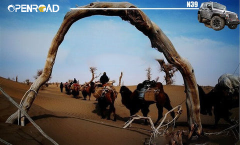 openroad 4wd Crossing The Taklamakan Desert——N39