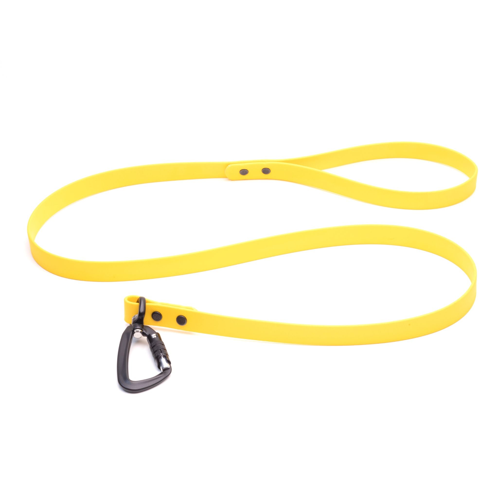 Sport Leashes + Long Lines - Large Dogs (3/4