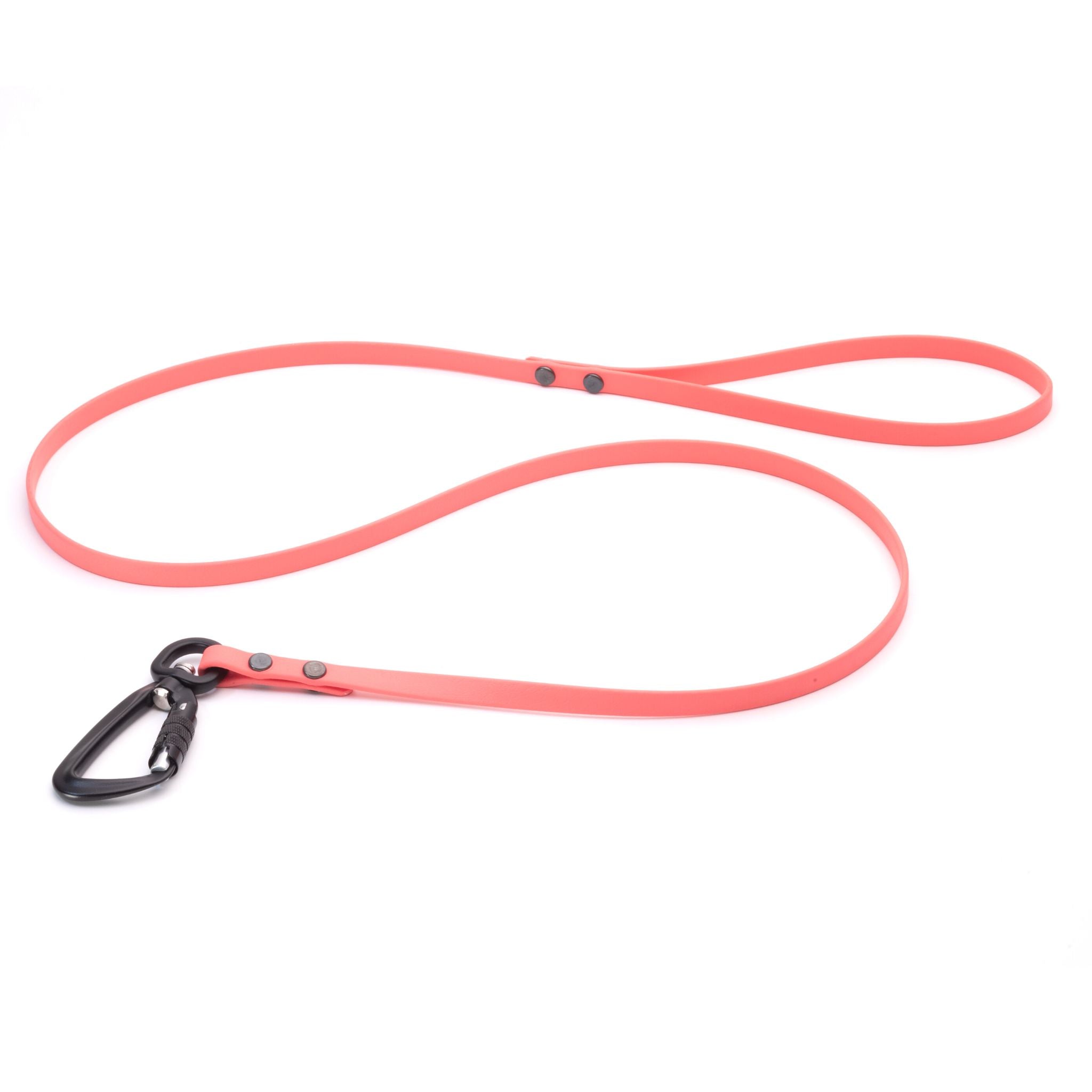 Sport Leashes + Long Lines - Small Dogs (3/8