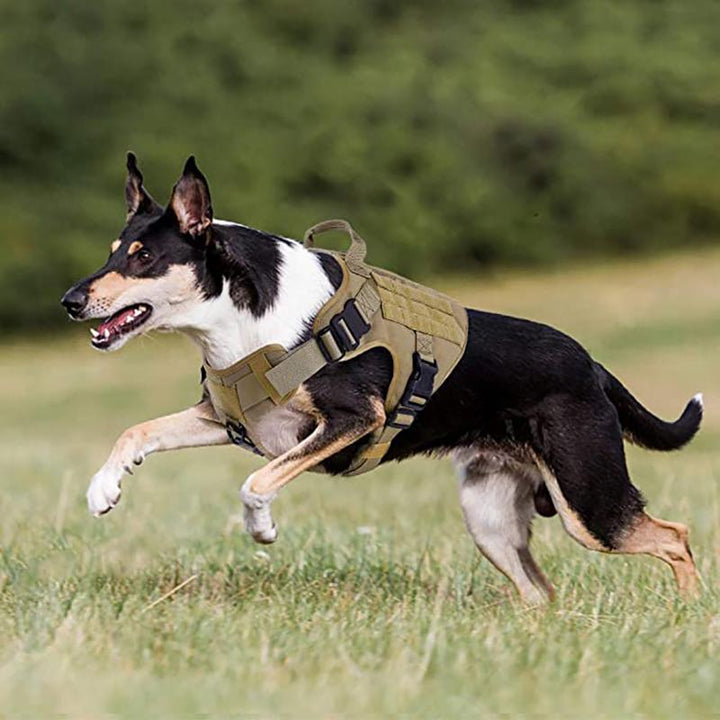 How To Choose The Best Tactical Dog Harness