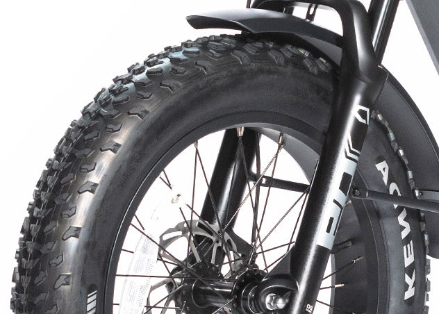 Troxus -Lynx 20'' Fat Tire E-bike-ebikehaul