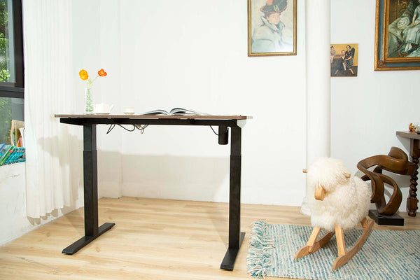 SIT TO STAND UP DESK