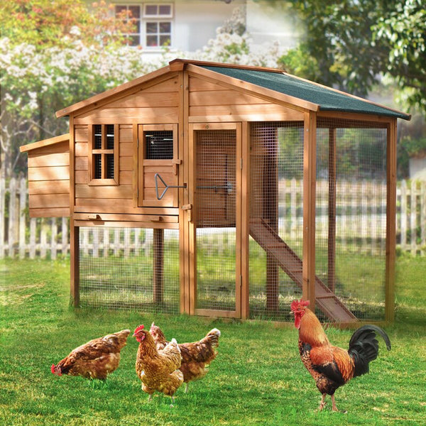 Wooden Chicken Coop