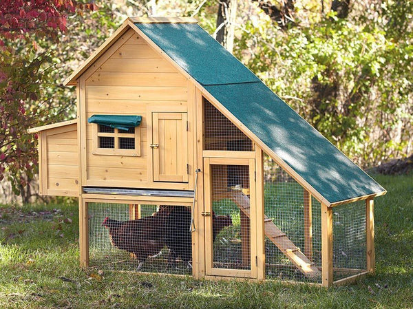 Wooden Chicken Coop