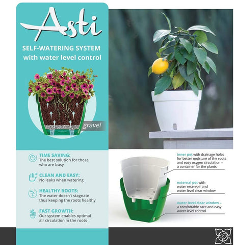 Self Watering Planter