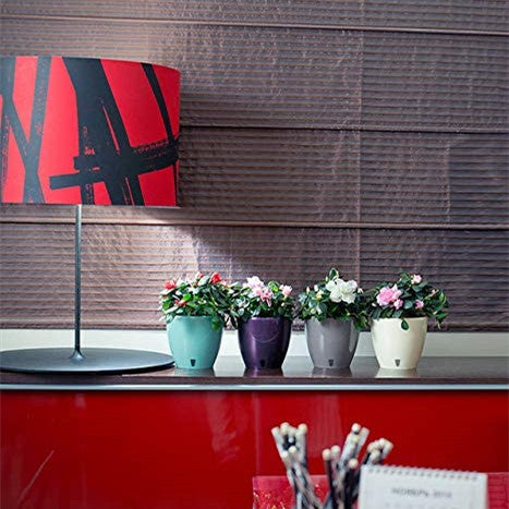 Self Watering Planter