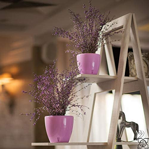 Self Watering Planter