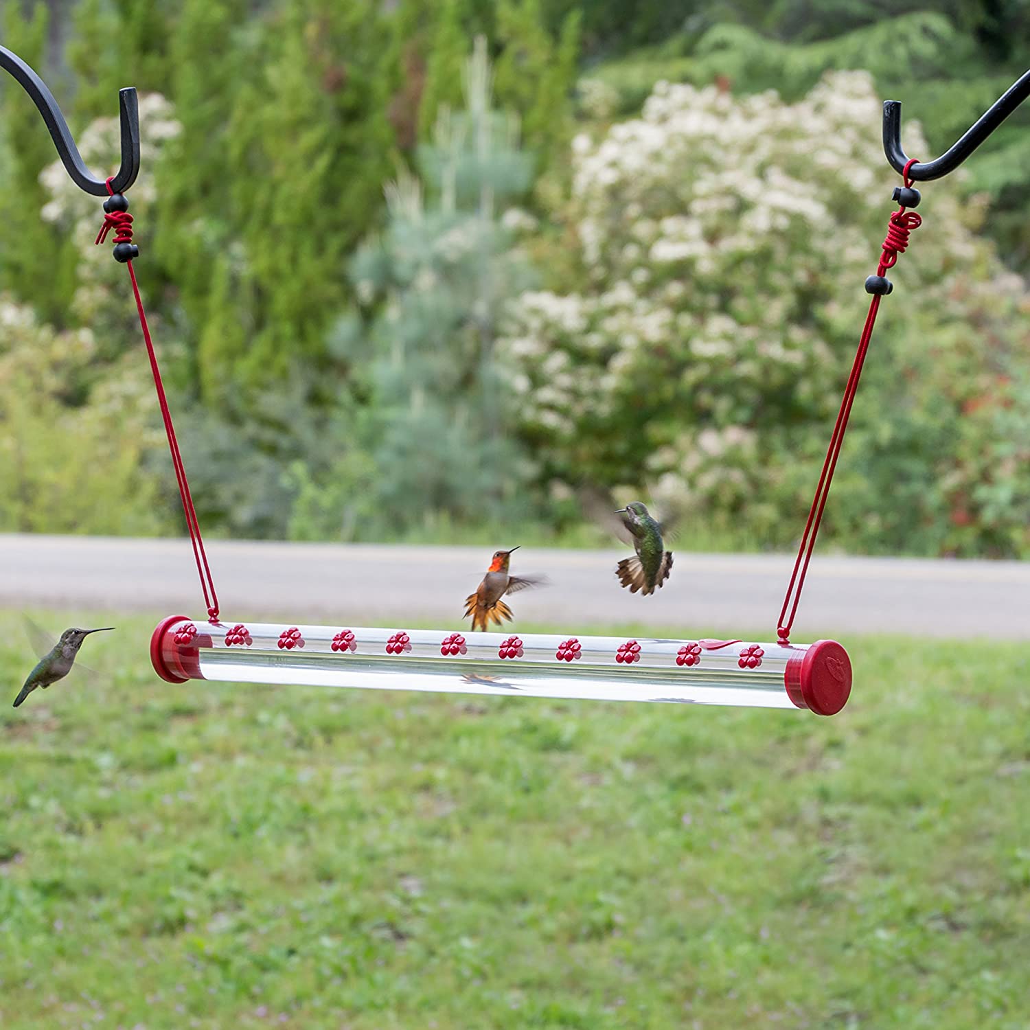 Hummingbird Feeder