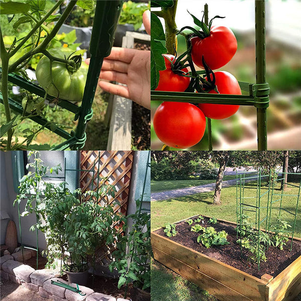 Plant Trellis Plant Climbing Frame for Tomato And Vine Vegetable