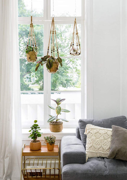 Plant Hangers