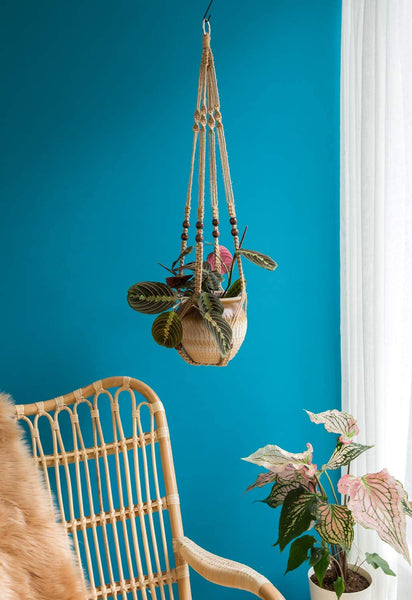 3 Pack Plant Hangers