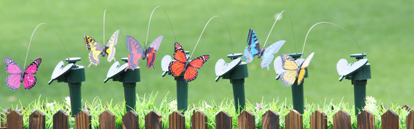 Solar Butterfly