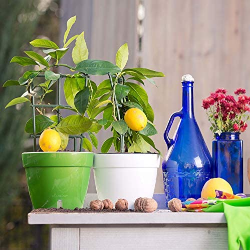 Modern Flower Pot with Water Level Indicator for All House Plants